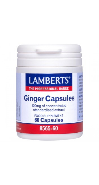 Lamberts Ginger 120MG για την Πεπτική Δυσλειτουργία, 60caps