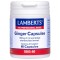 Lamberts Ginger 120MG για την Πεπτική Δυσλειτουργία, 60caps