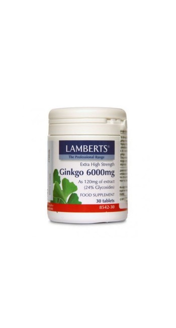 Lamberts Ginkgo Biloba Eextract 6000mg Εκχύλισμα Ginkgo Biloba για Μνήμη & Συγκέντρωση 30Tabs