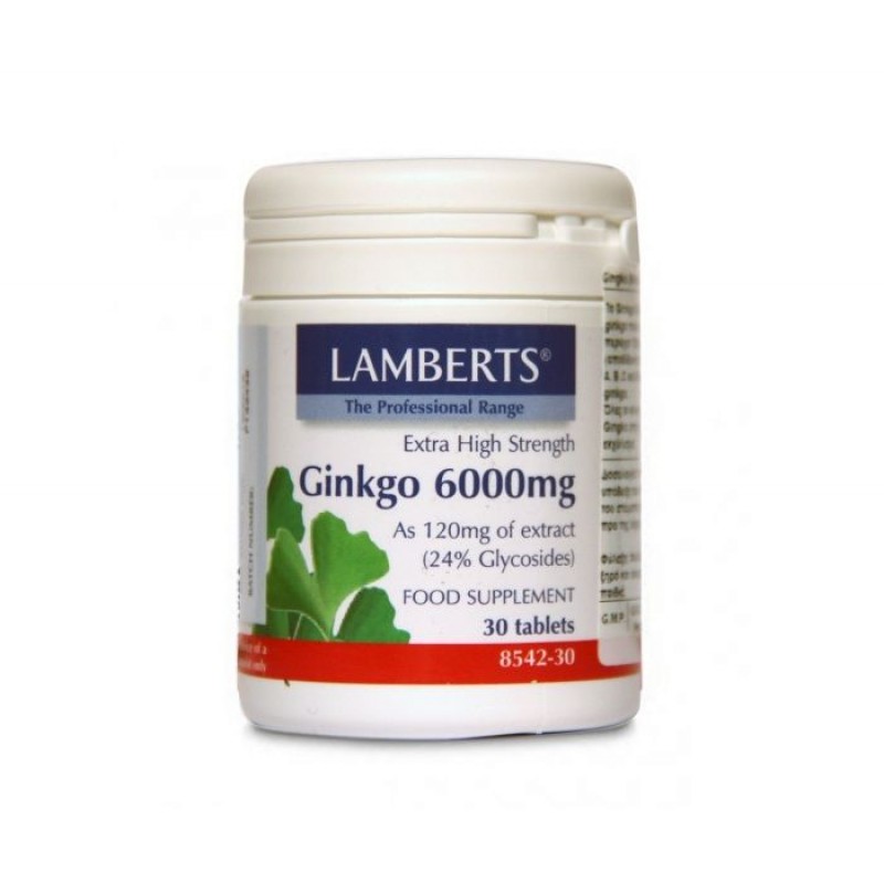 Lamberts Ginkgo Biloba Eextract 6000mg Εκχύλισμα Ginkgo Biloba για Μνήμη & Συγκέντρωση 30Tabs